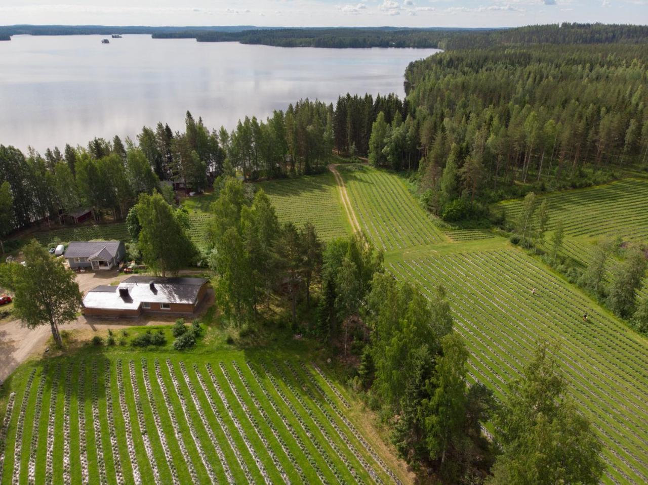 Hiekkarannanlomat Villa Kannonkoski Dış mekan fotoğraf
